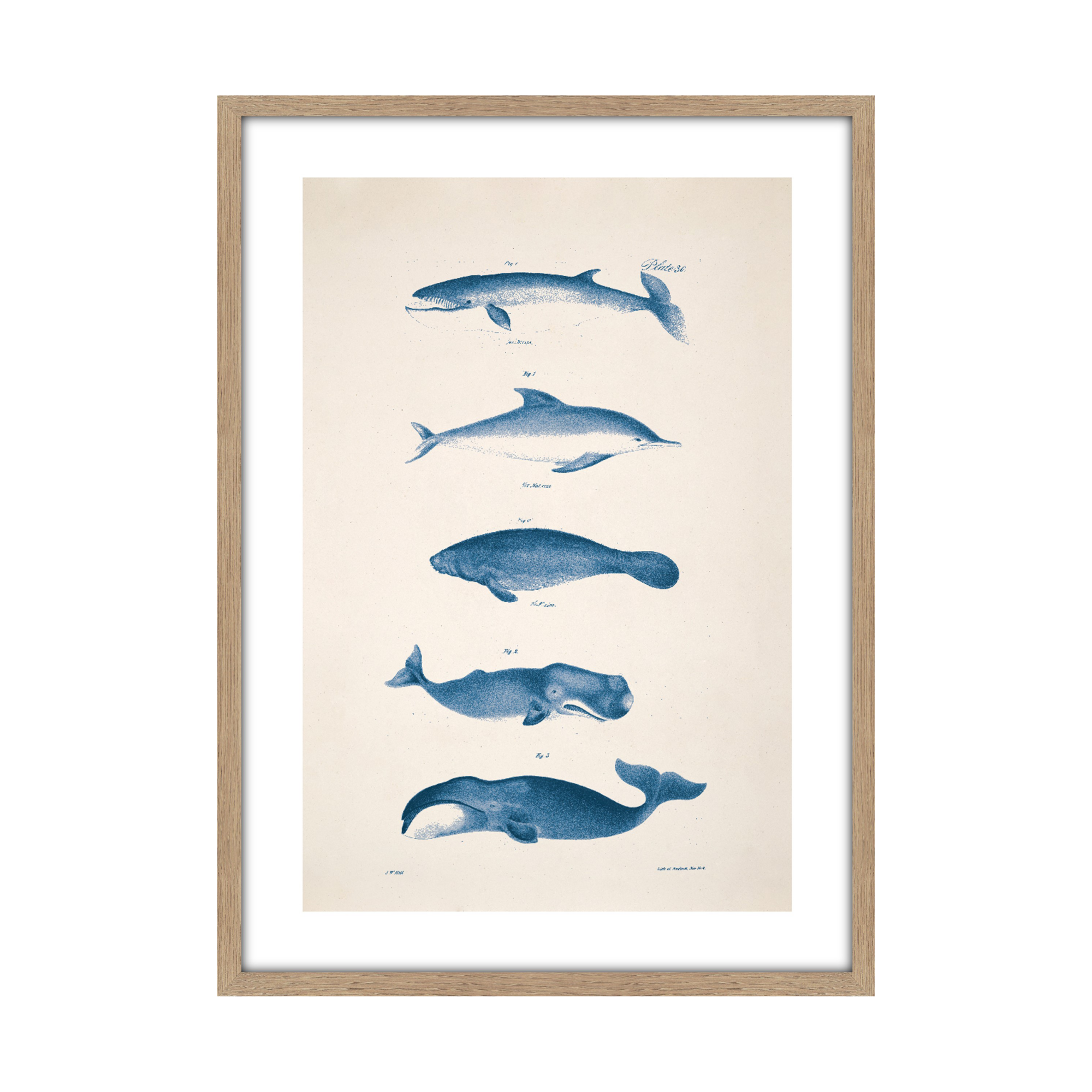 Tableau Planche océan 50 x 70 cm