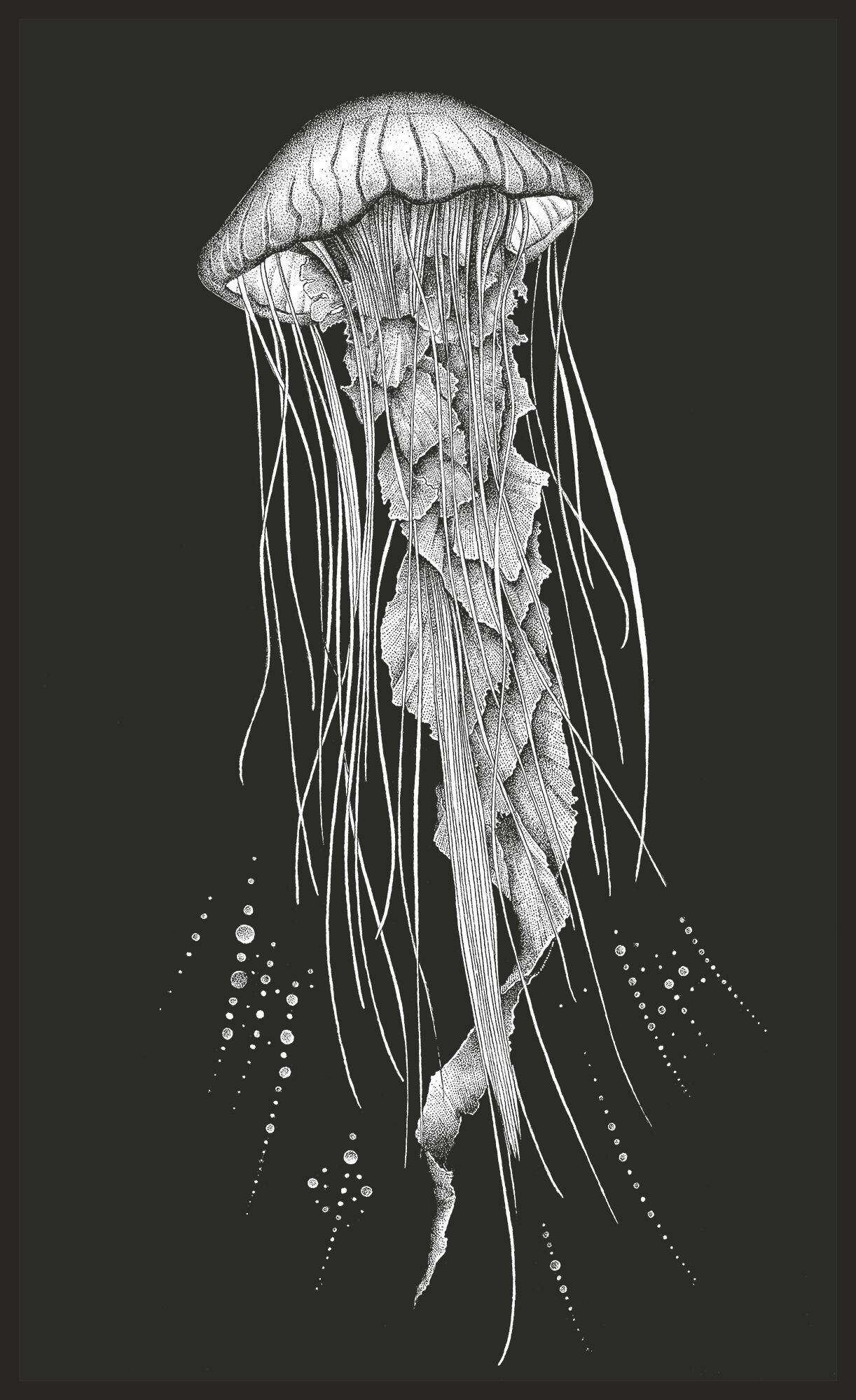 Tableau Méduse fond noir impression papier lin 30 x 50 cm BY THE INK