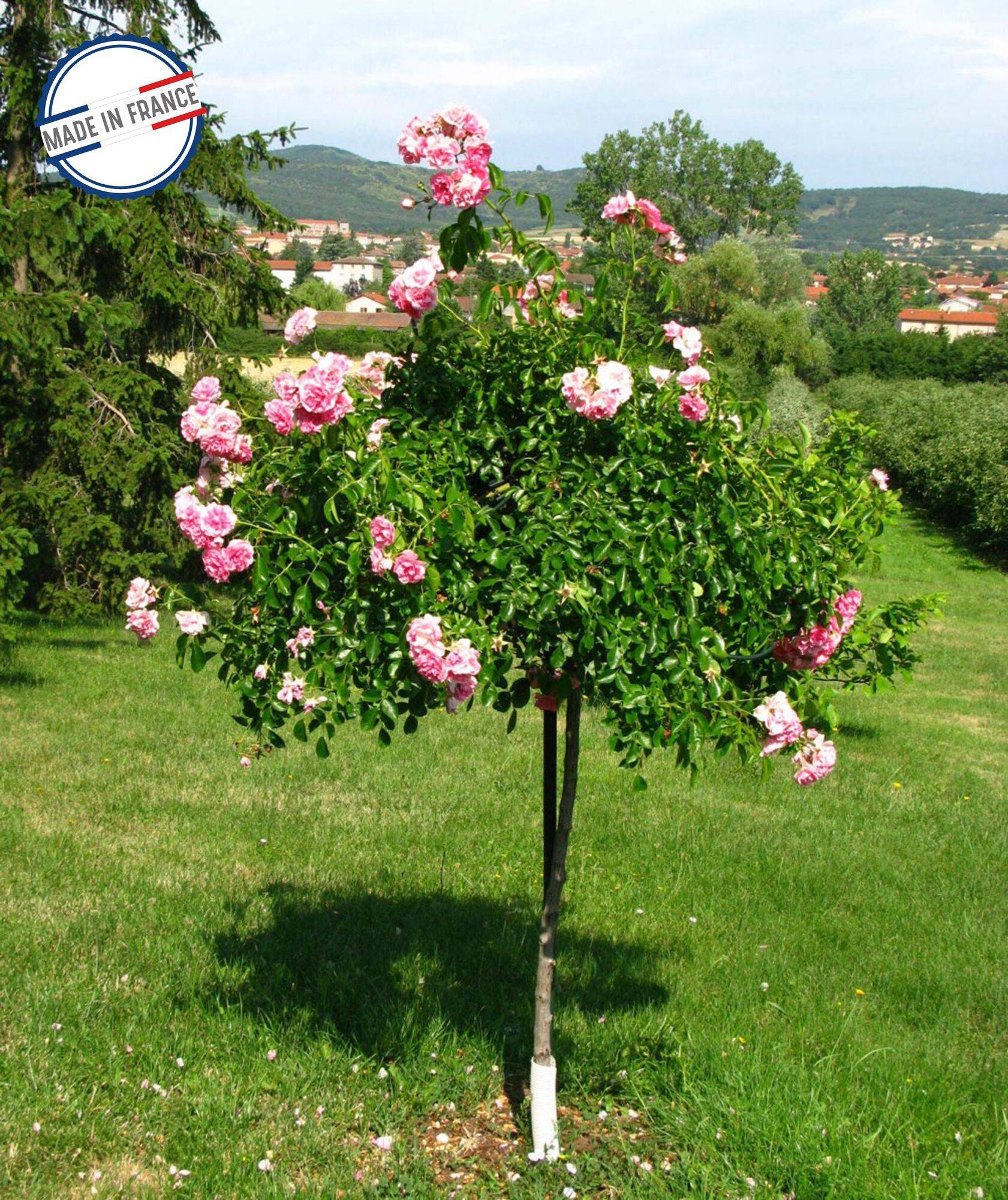 Tuteur de jardin forme parapluie en métal aspect fer vieilli 100x250