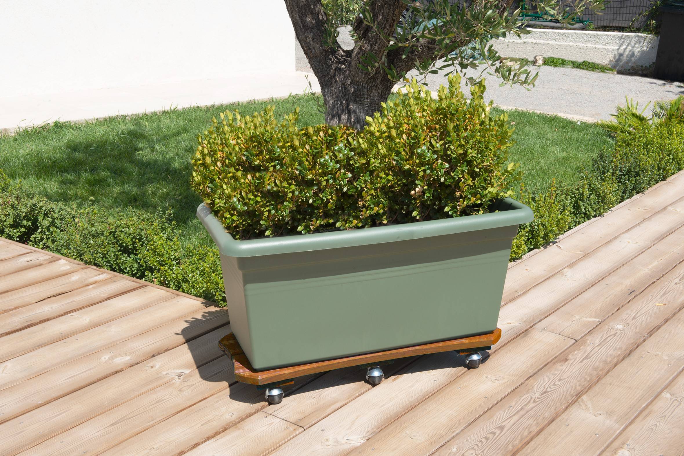 Roule plantes en bois spécial bac