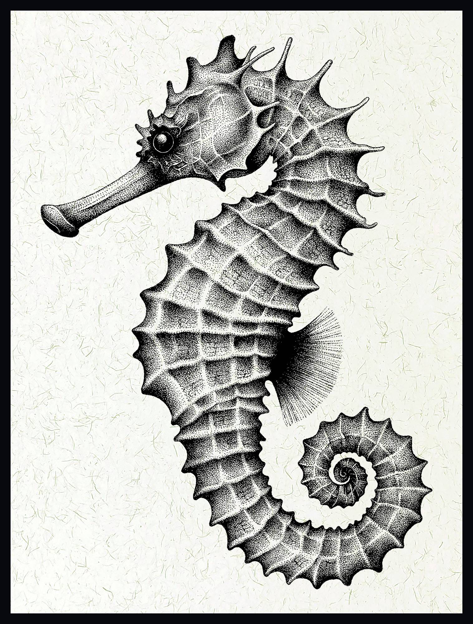 Tableau Hippocampe impression papier lin 30 x 40 cm BY THE INK