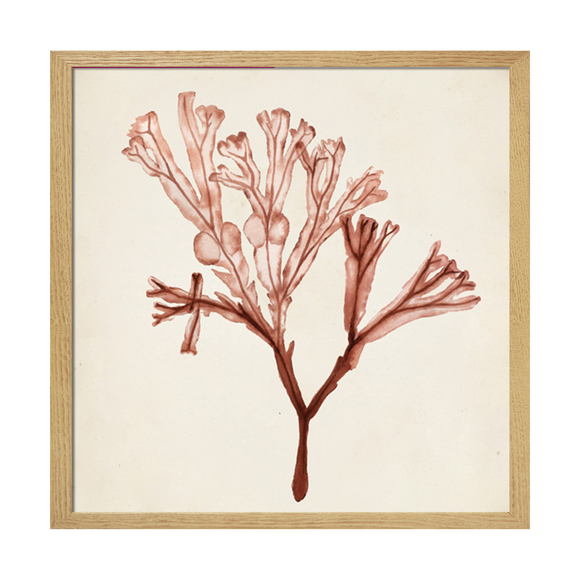 Tableau WAG Under algue C 40 x 40 cm