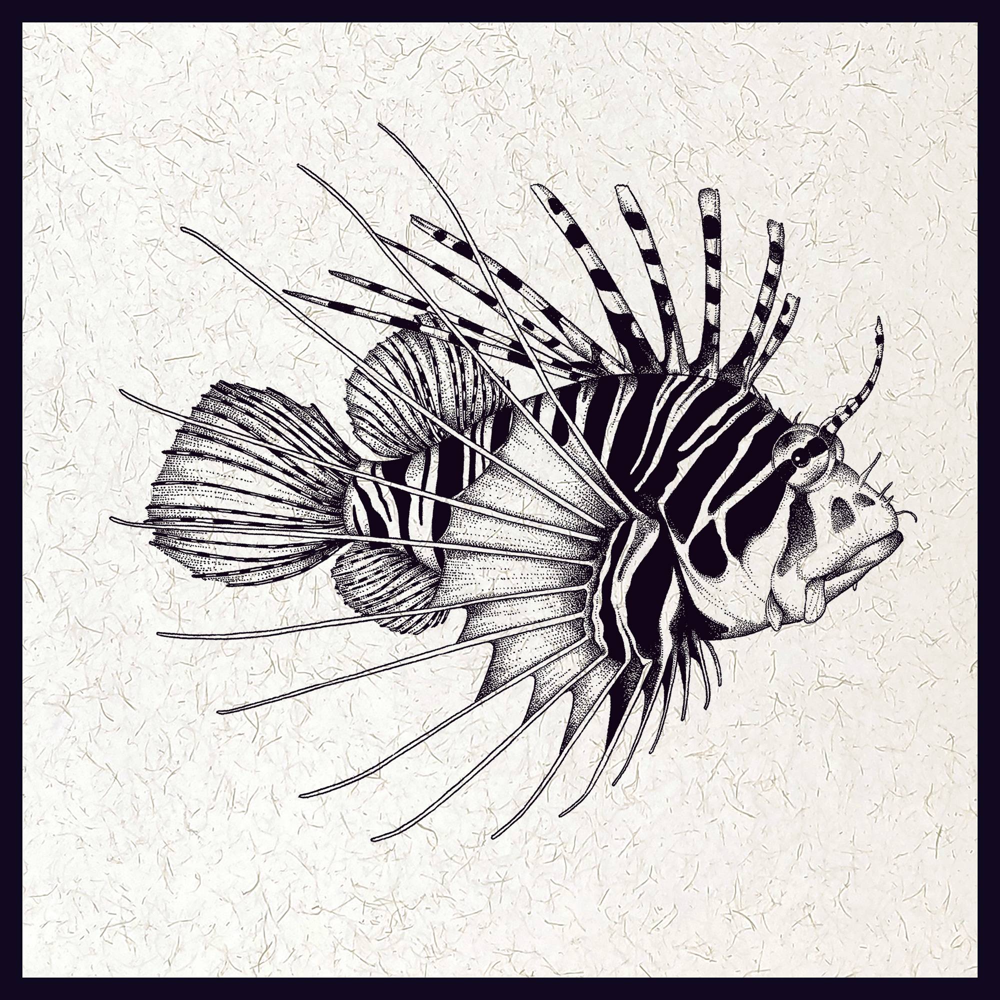 Tableau Rascasse impression papier lin 30x30 cm BY THE INK