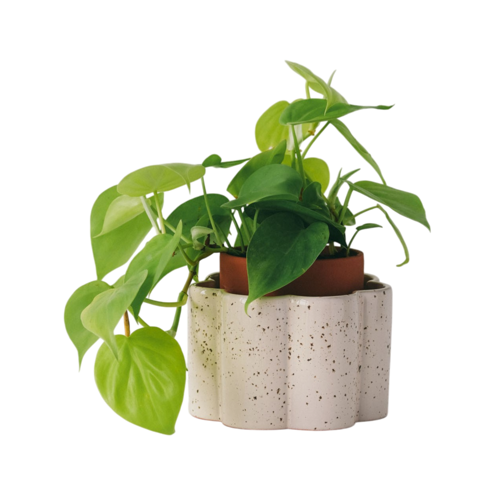 Pot autonome Paulita - Blanc grainé