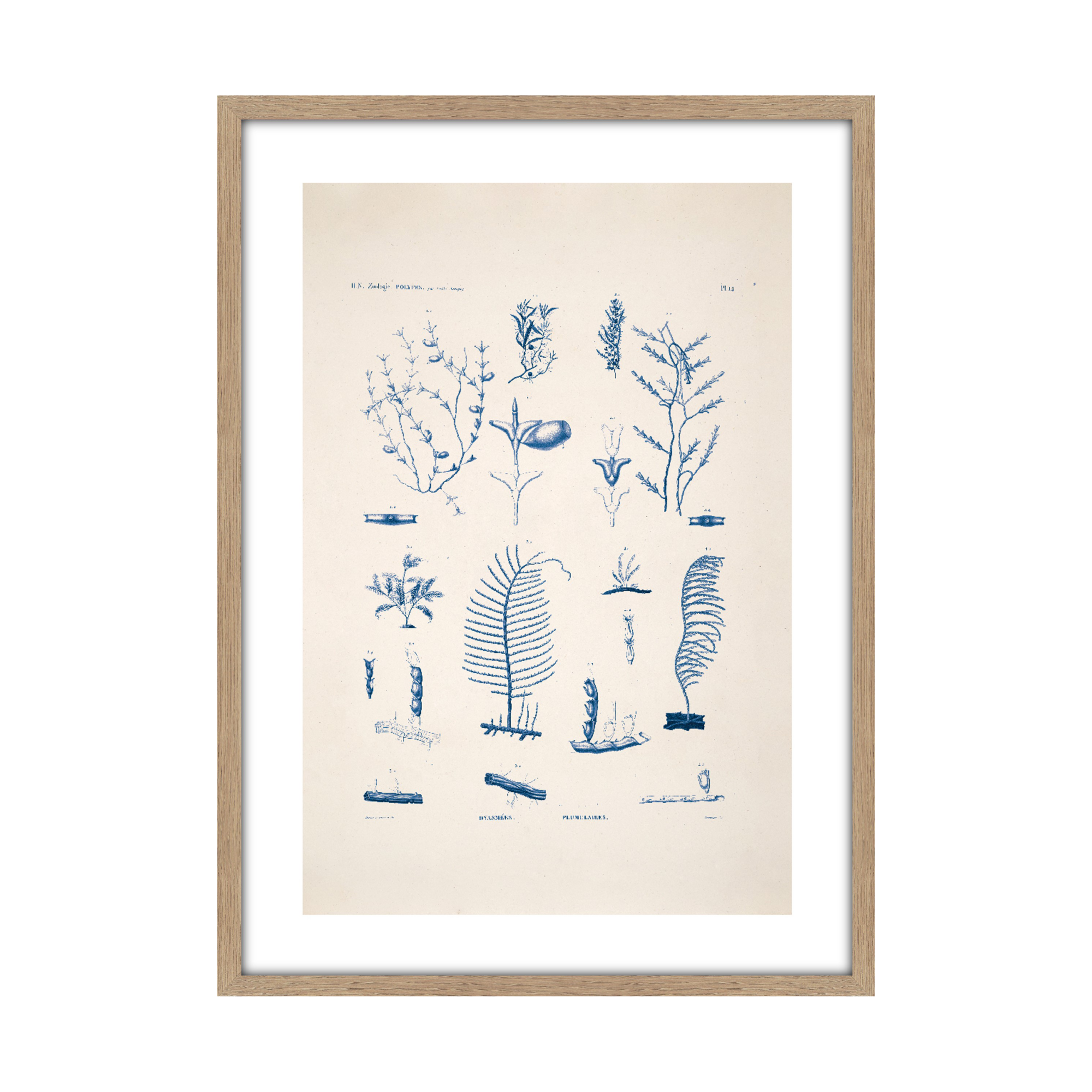 Tableau Planche sea 50 x 70 cm