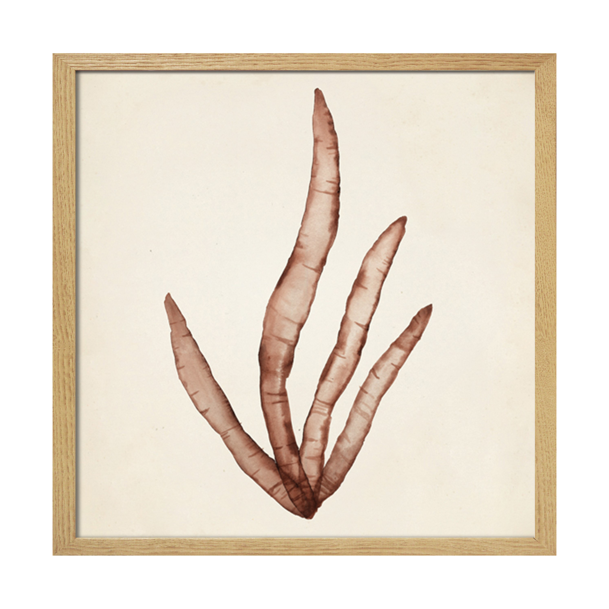 Tableau WAG Under algue A 40 x 40 cm