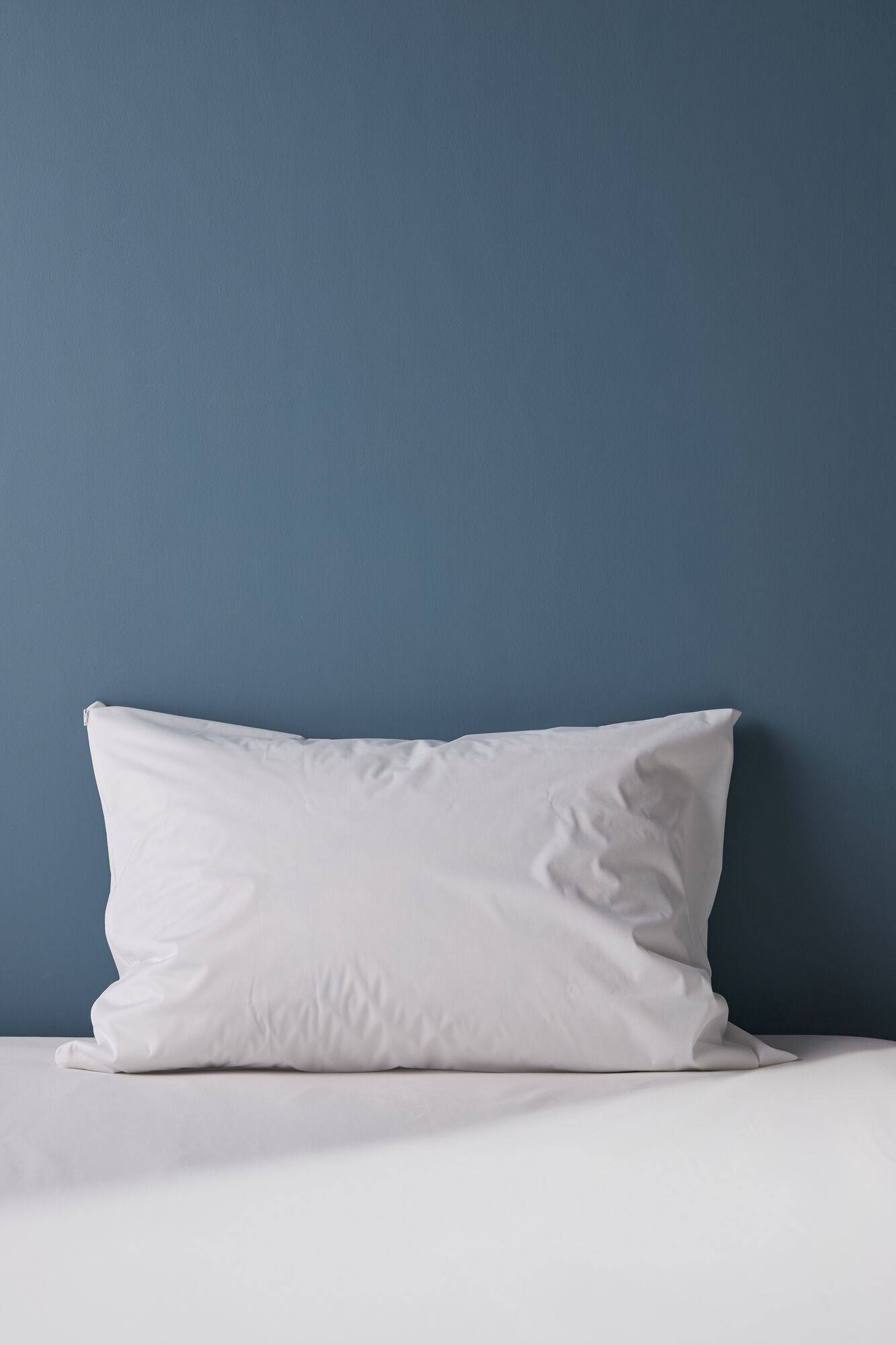 Housse d'oreiller anti-punaise de lit Isis - Image 1