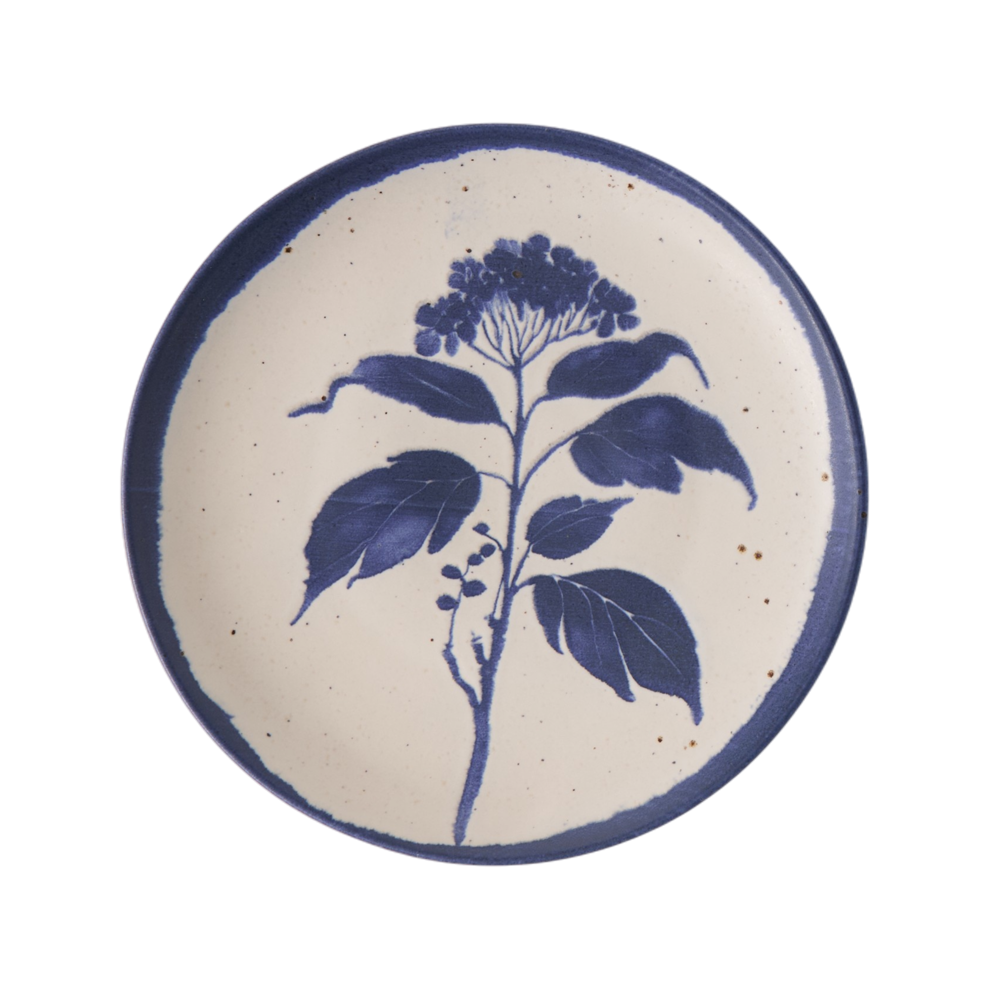 Lot de 6 Assiettes plates Achillée Campo