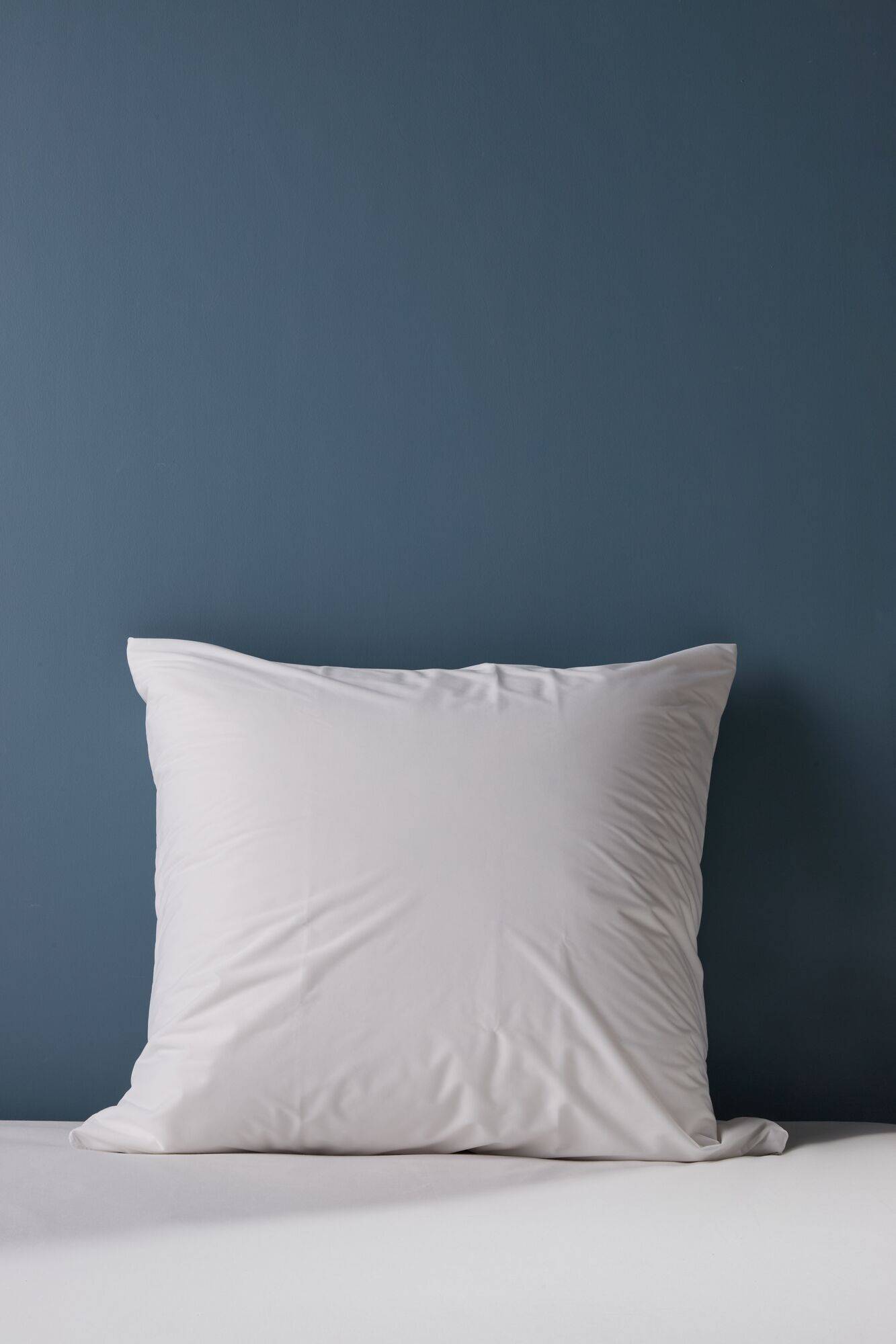 Housse d'oreiller anti-punaise de lit Isis - Image 1