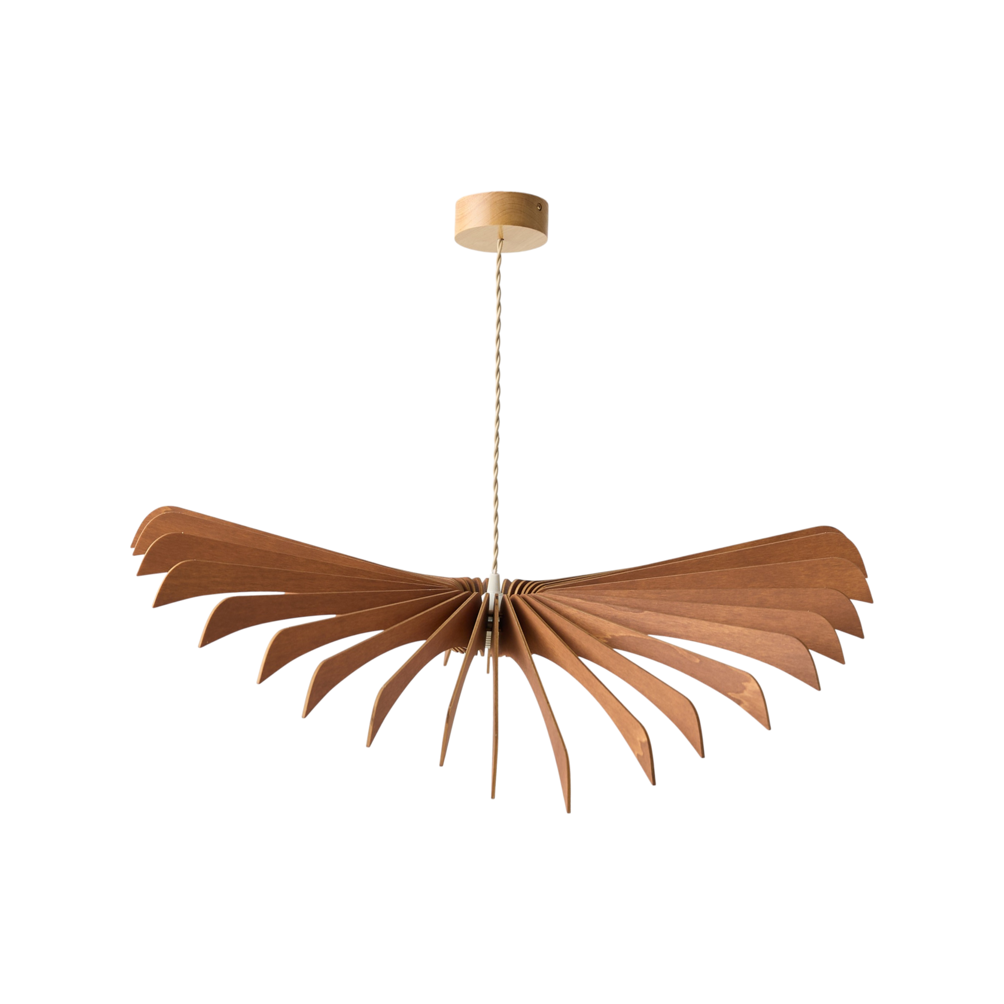 01__de__deco__suspensions_et_plafonniers__atelier_loupiote__bois_fonce__bois__aigle__camif__10038282__100382823676