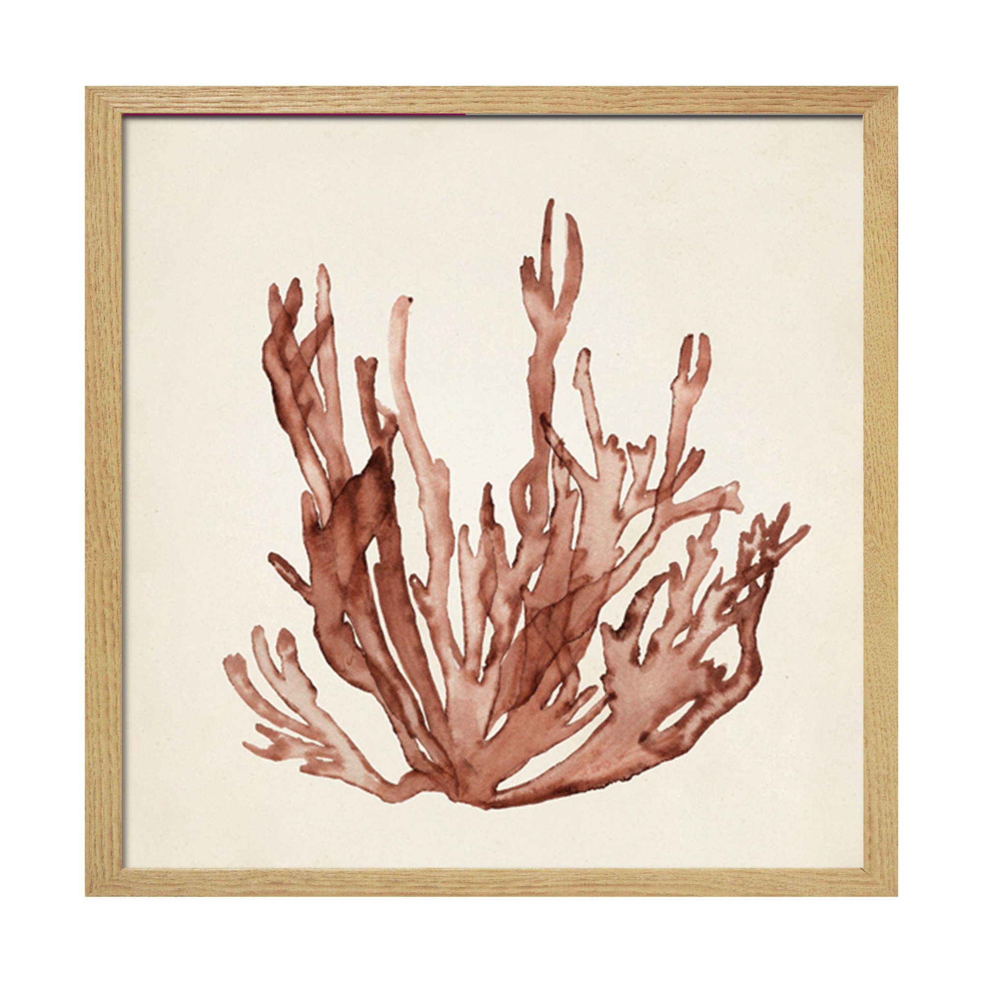 Tableau WAG Under algue B 40 x 40 cm