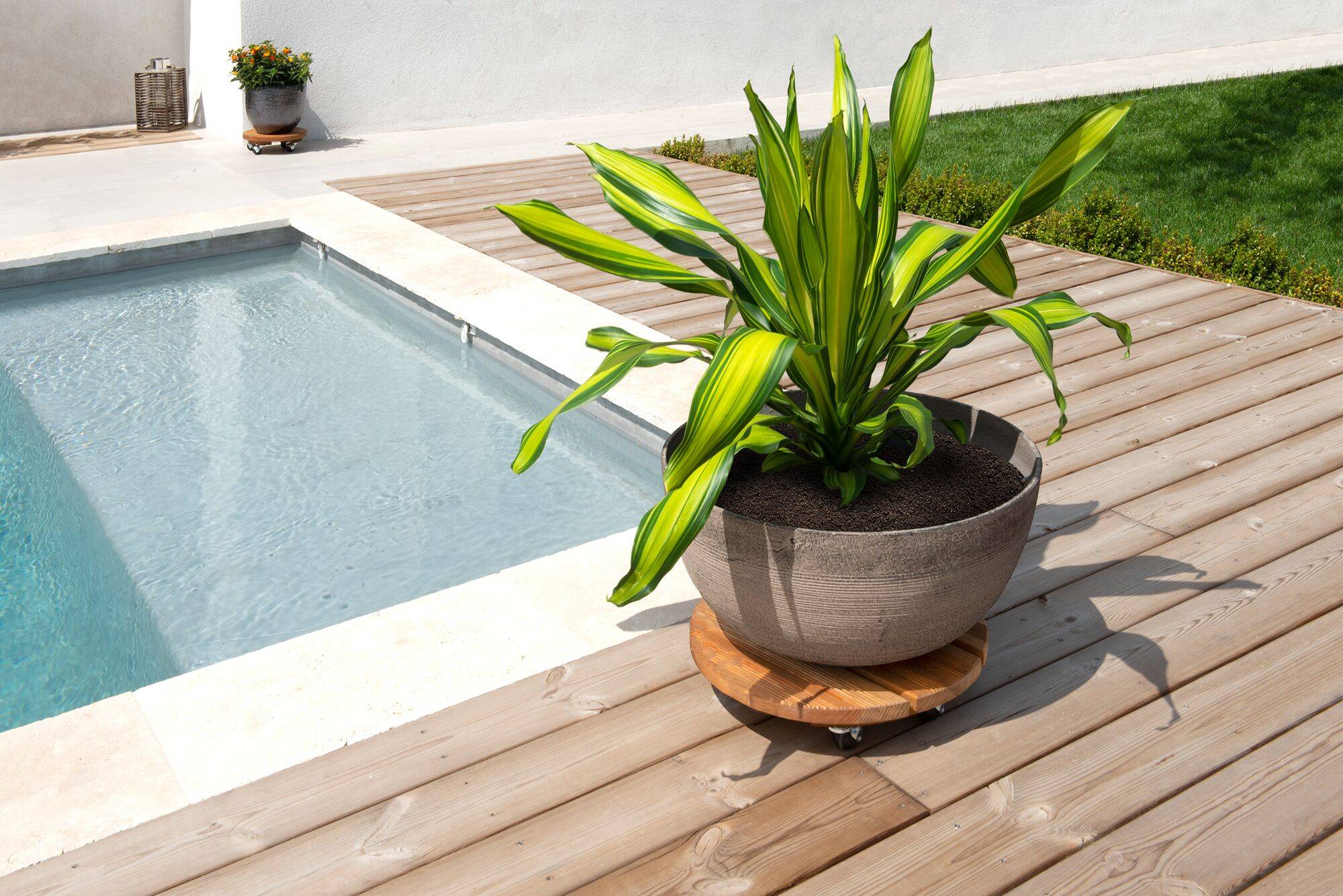 Roule plantes en bois rond
