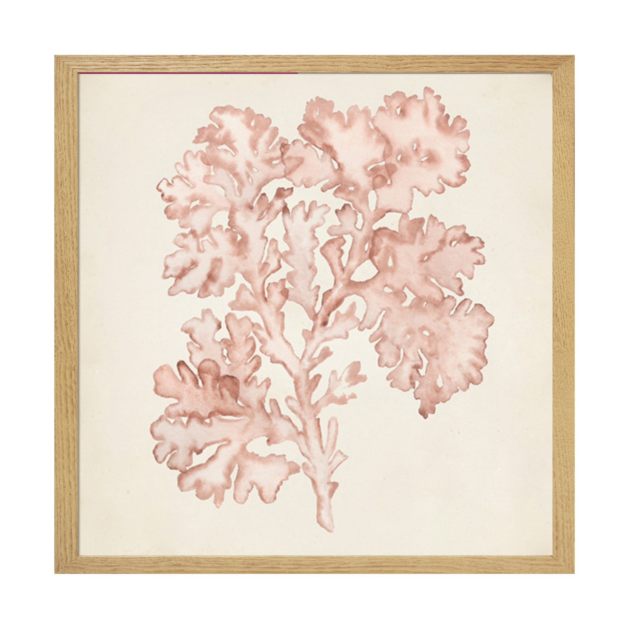 Tableau WAG Under algue D 40 x 40 cm