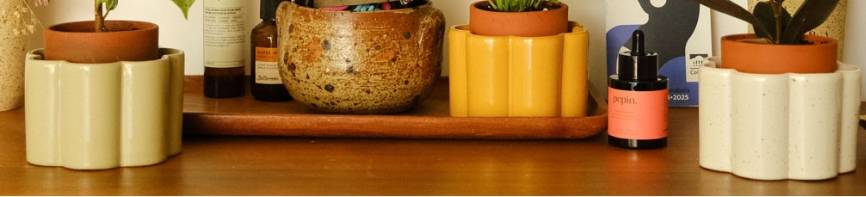 Image Pots de fleurs et jardinage