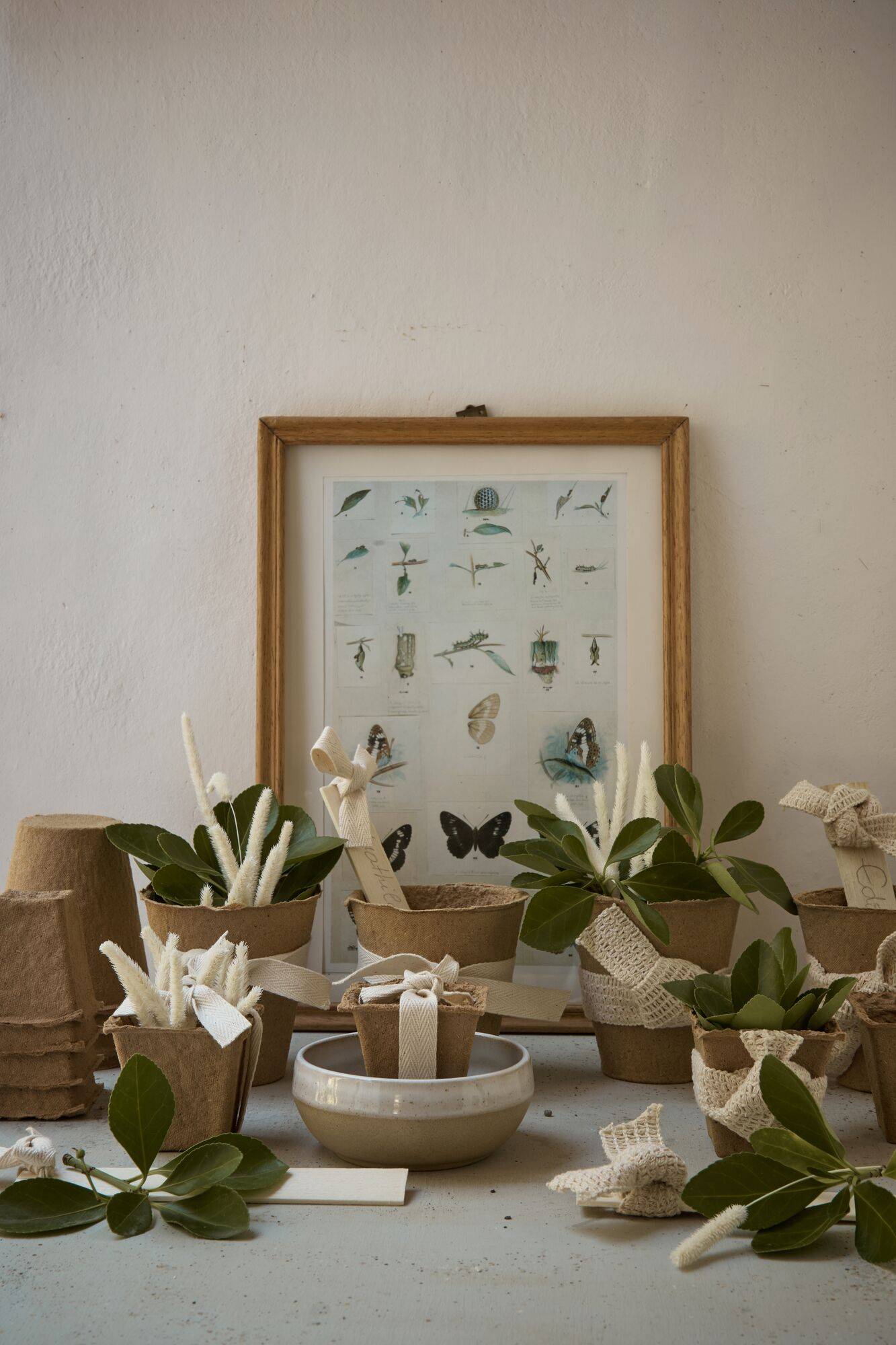 Lot de 20 godets de culture - Image 1