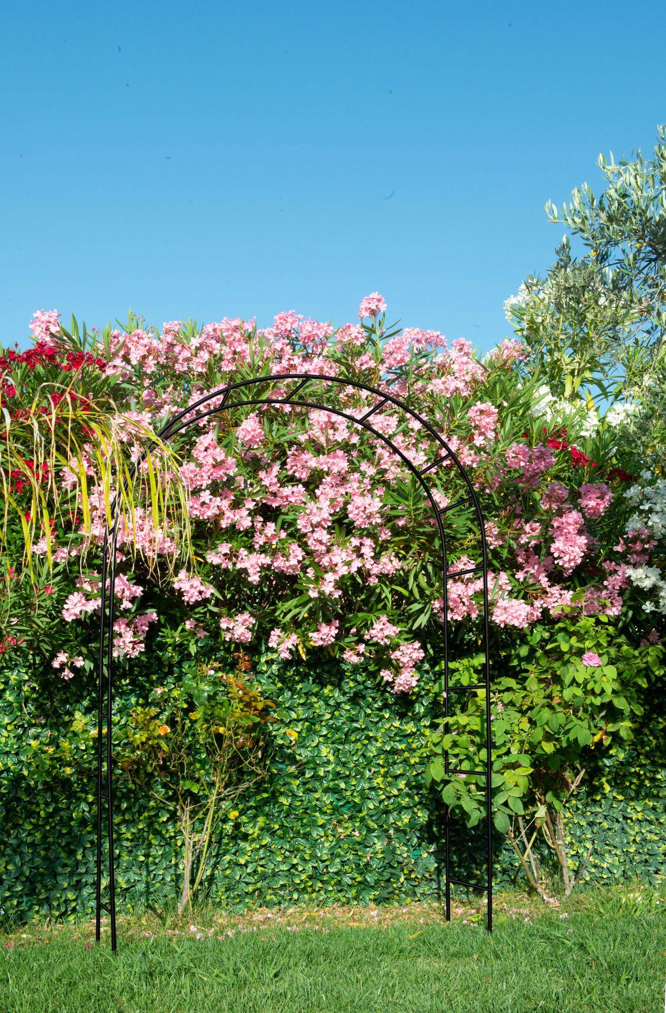 Arche de jardin en métal noir 130x40x250 Classique