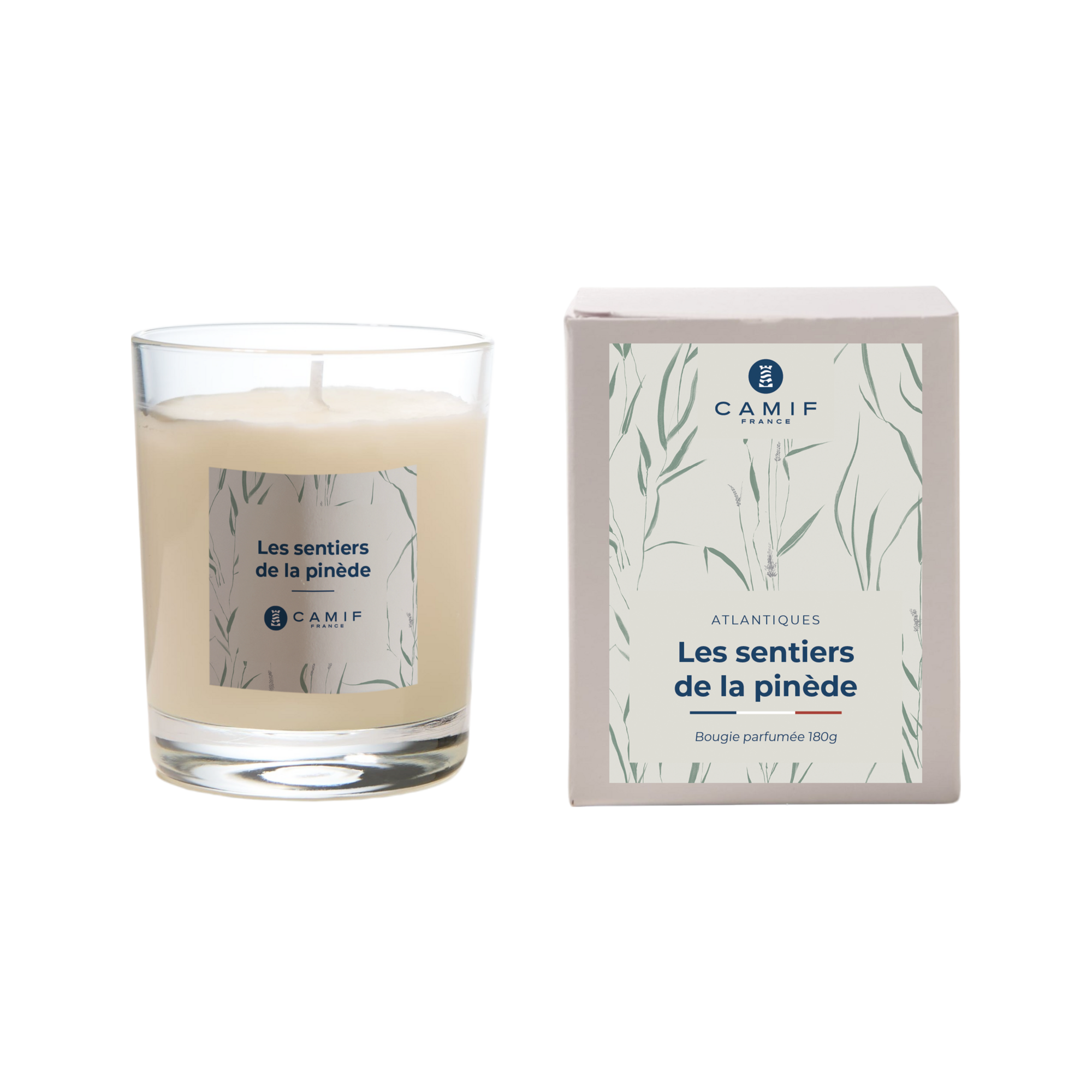 Bougie parfumée Les sentiers de la pinède