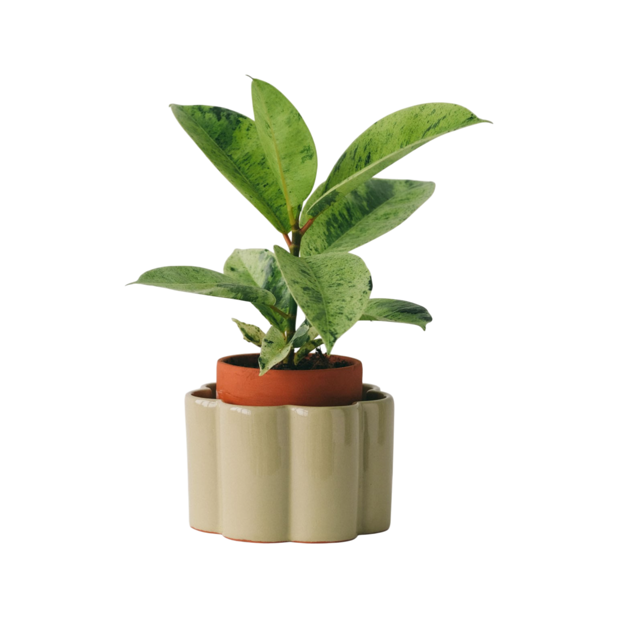 Pot autonome Paulita - Vert sauge