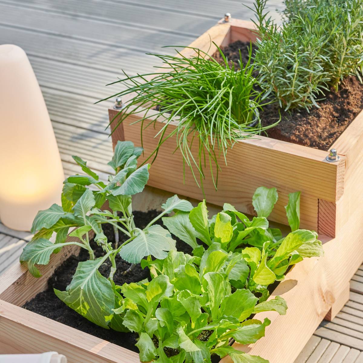 Carré de Potager 2 Niveaux Twinik en Bois Carré de Potager 2 Niveaux Twinik en Bois