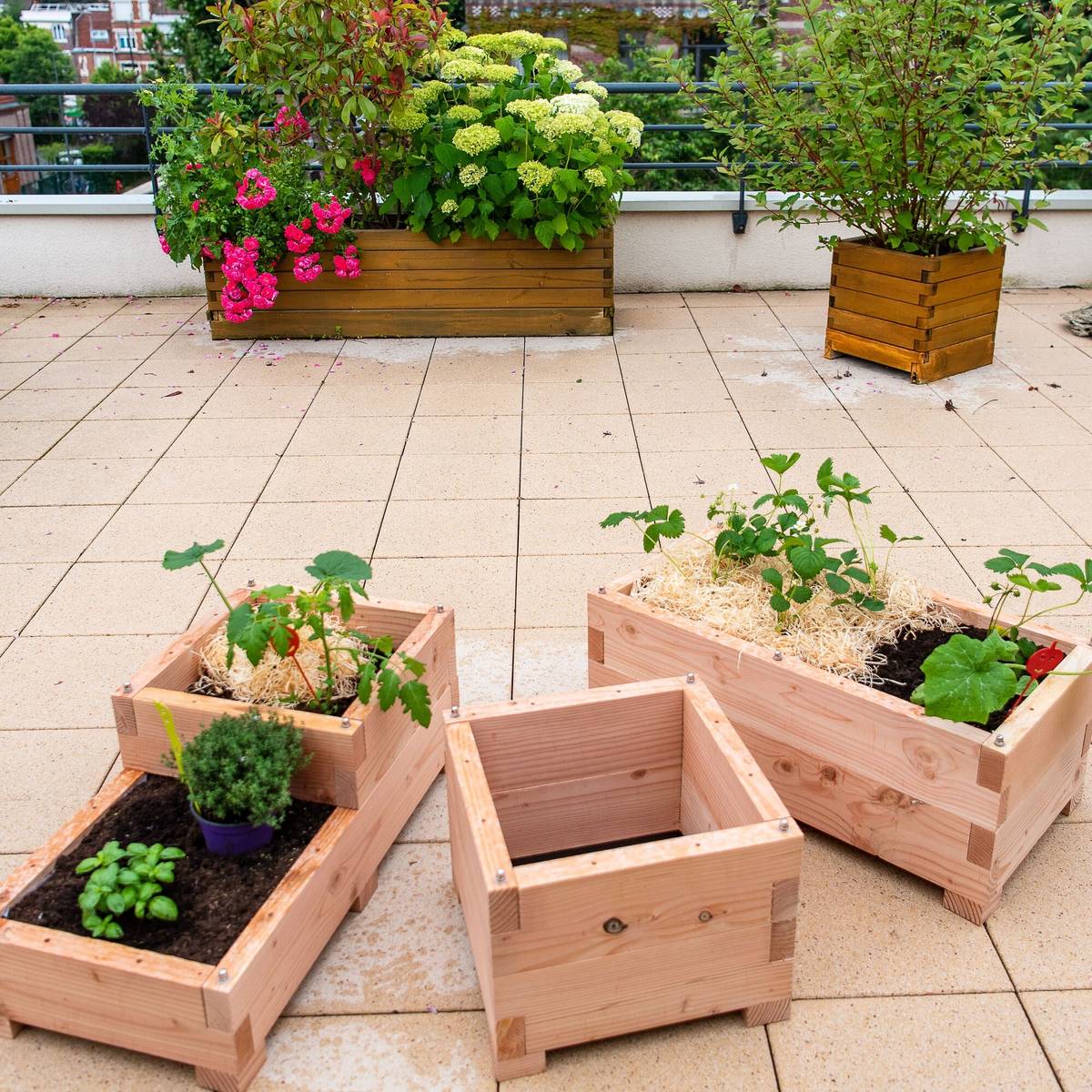 Carré de Potager Little en Bois Carré de Potager Little en Bois