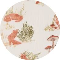 Promenons-nous dans les bois