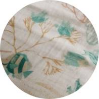 Chansons d'eaux douces