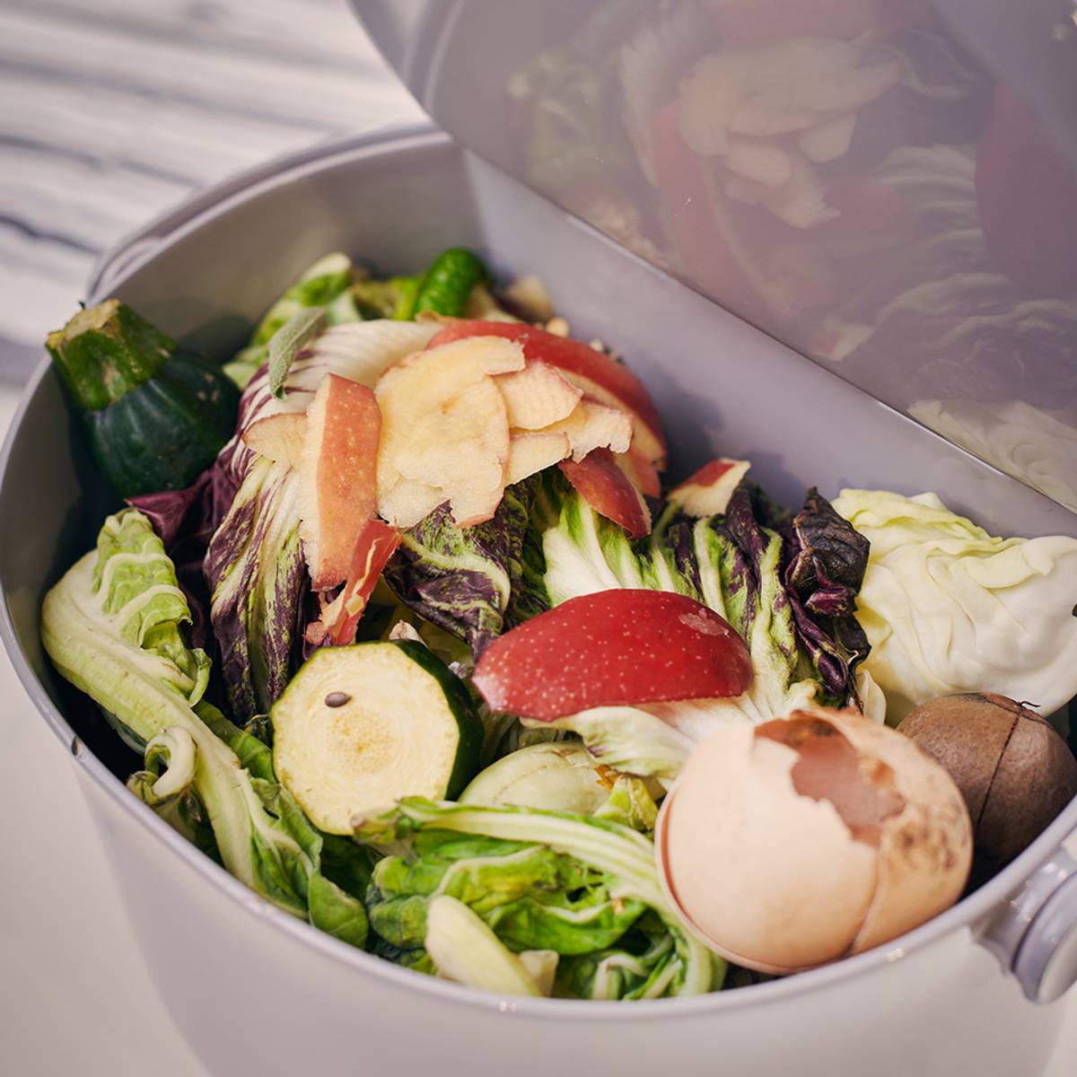 Bac à composte Daily Bac à composte Daily