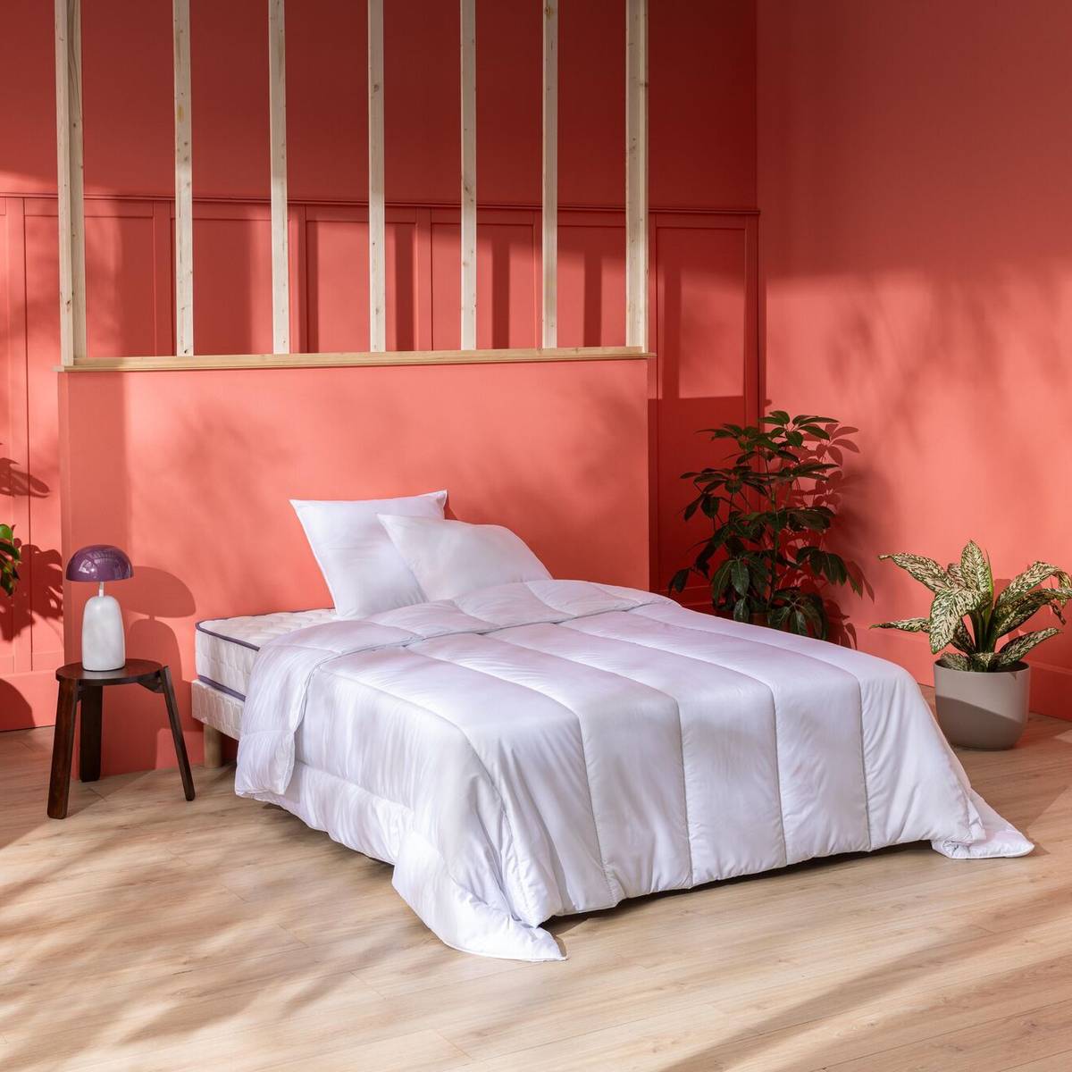 Ensemble Super Natty Ensemble Super Natty