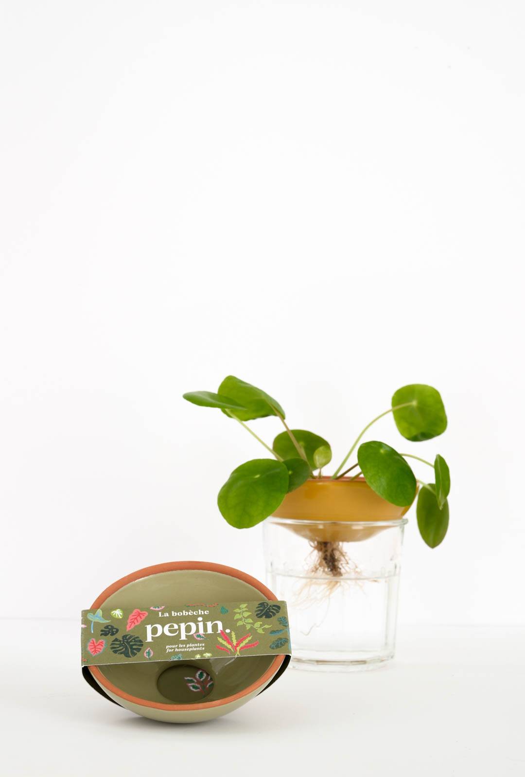 Bobèche Plantes - Vert sauge - Image 1