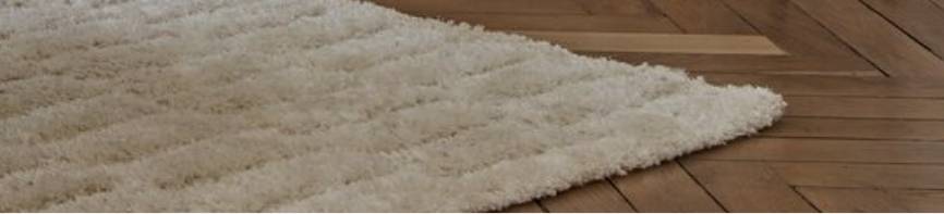 Image Quel tapis d’intérieur choisir ?