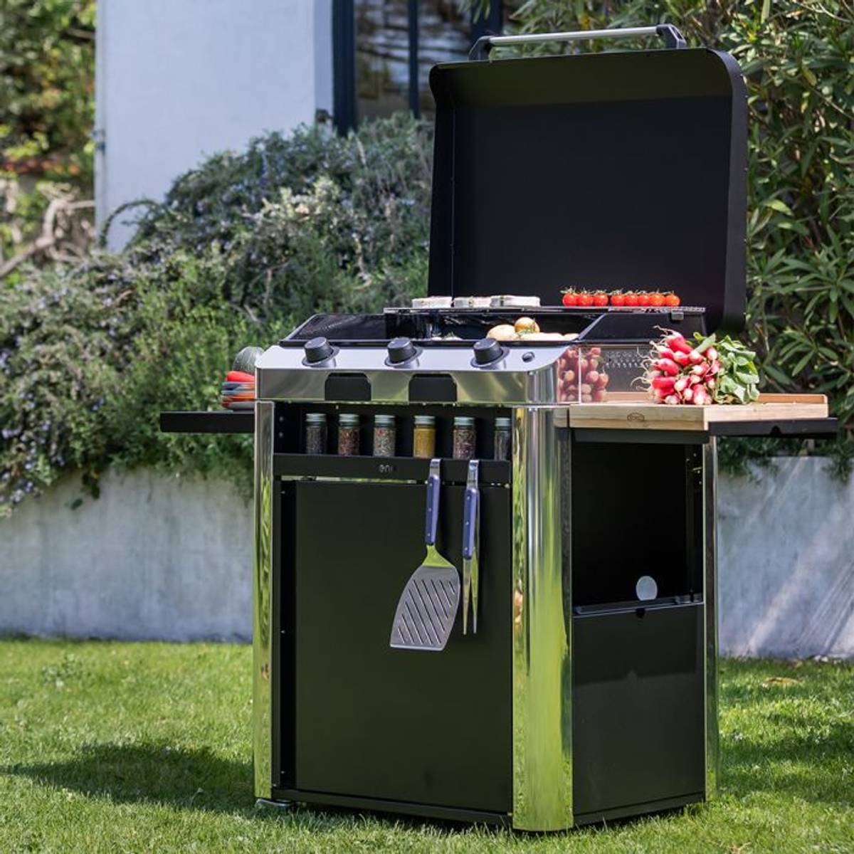 Ensemble Plancha Fusion Gaz 75 et Chariot en Acier Ensemble Plancha Fusion Gaz 75 et Chariot en Acier