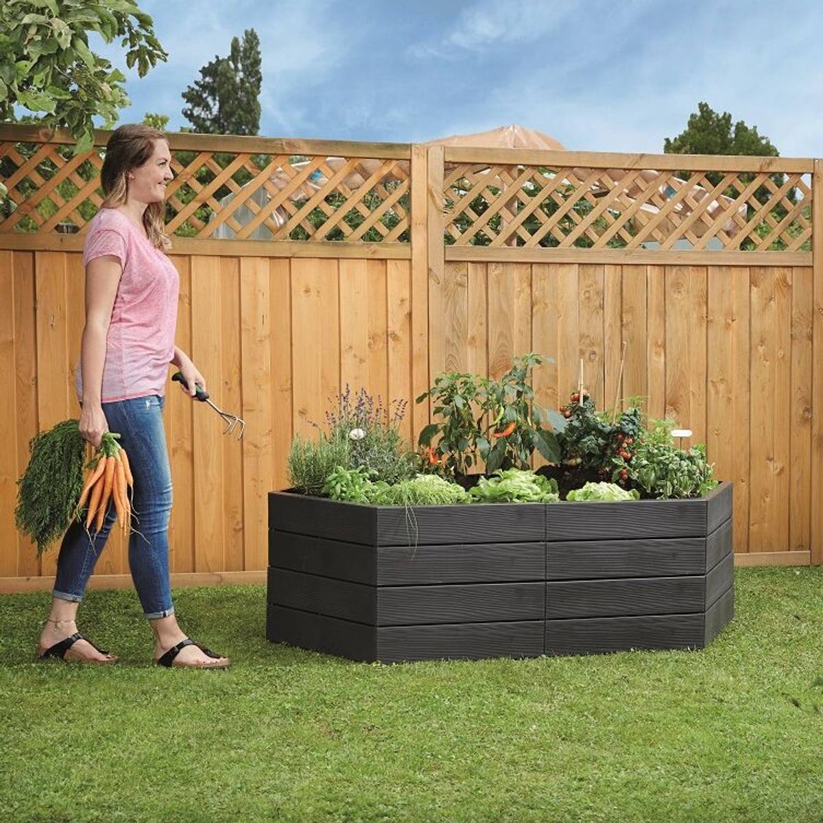 Kit 2 Carrés de Potager avec 2 Sets d'Extension Ergo Kit 2 Carrés de Potager avec 2 Sets d'Extension Ergo