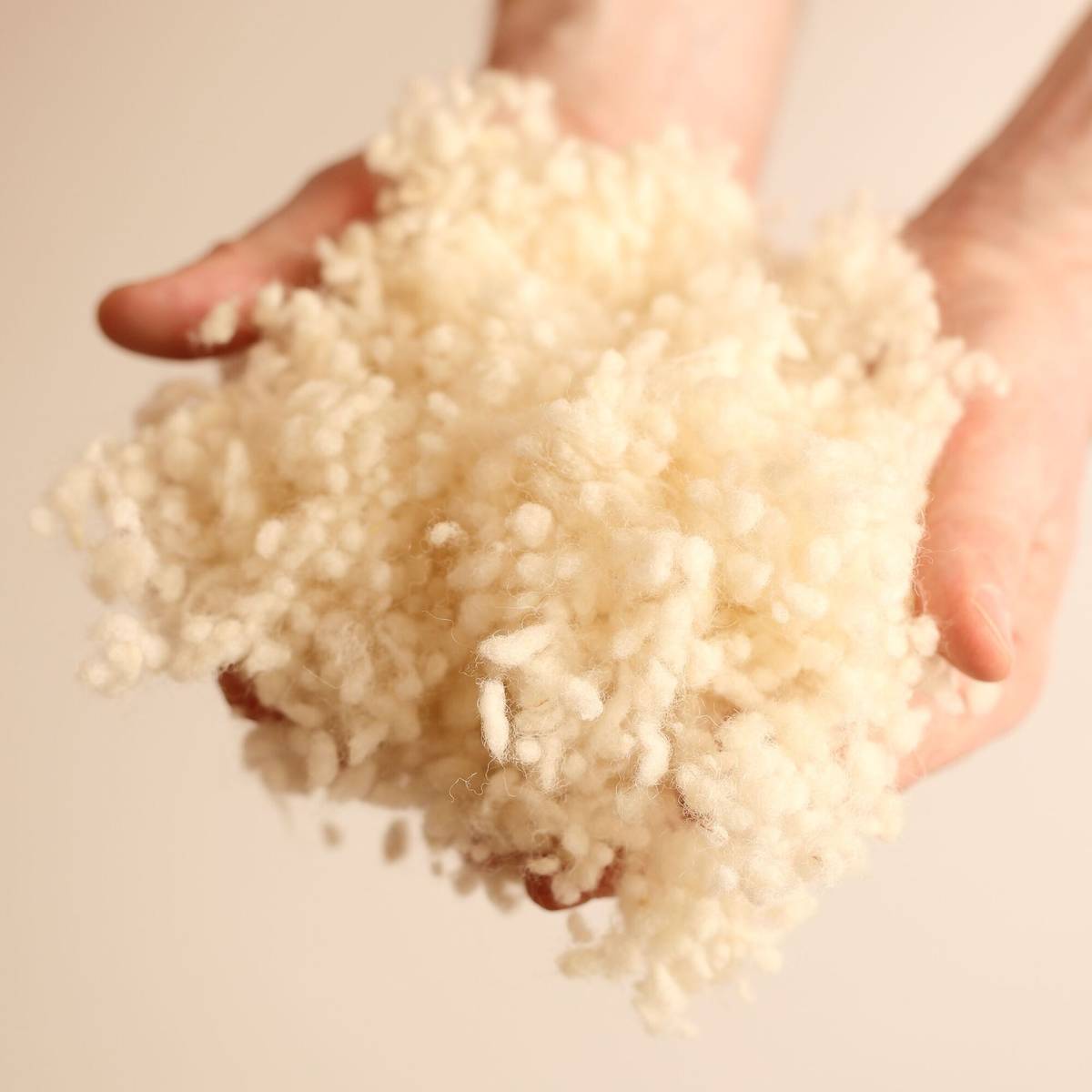 Oreiller ferme en laine vierge biologique Oreiller ferme en laine vierge biologique