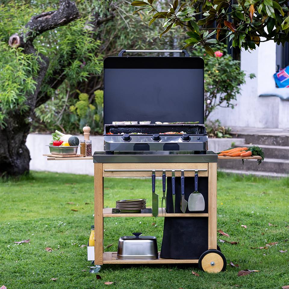 Plancha Fusion Gaz 75 - Image 1