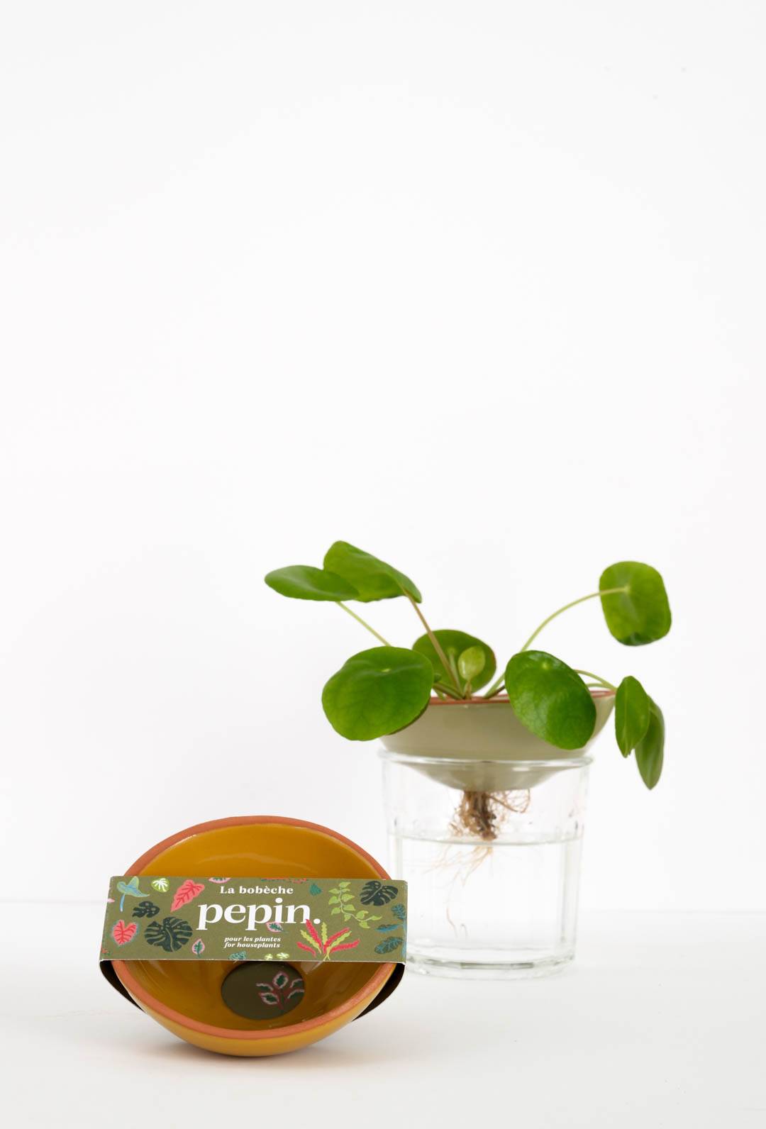 Bobèche Plantes - Jaune moutarde - Image 1