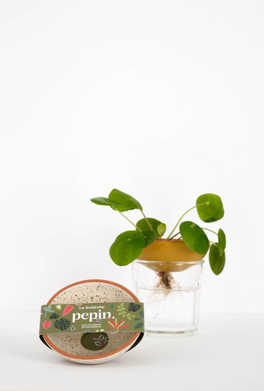 Bobèche Plantes - Blanc grainé - Image 1