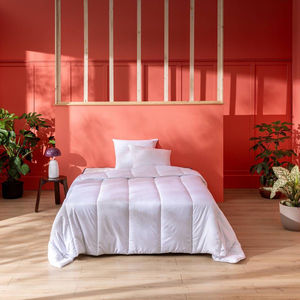 Ensemble Super Natty Ensemble Super Natty