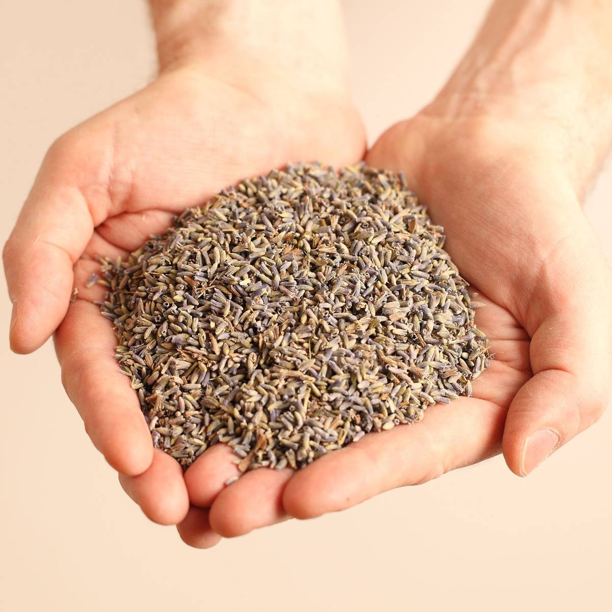 Oreiller ferme à la lavande biologique Oreiller ferme à la lavande biologique