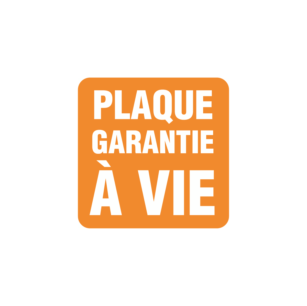 Plancha Fusion Gaz 60 en Inox Plancha Fusion Gaz 60 en Inox