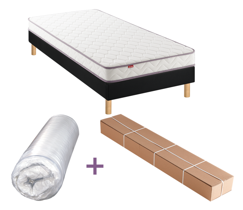 Ensemble Positive Lit MERINOS