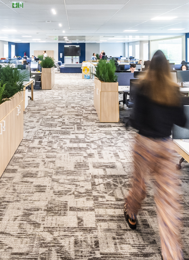 Une offre dédiée aux professionnels